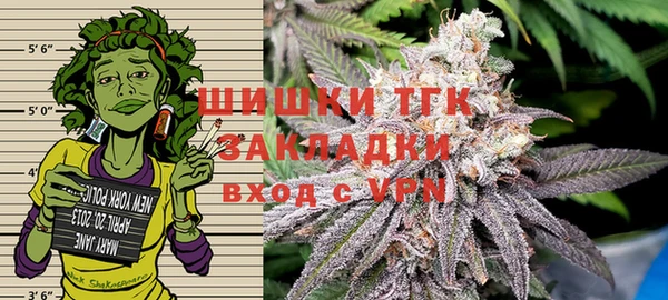 прущая мука Инта