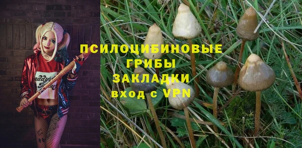 соль ск Иннополис