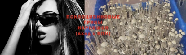 соль ск Иннополис