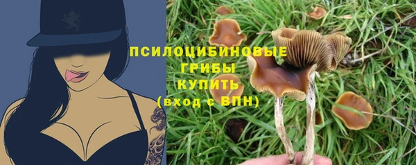 прущая мука Инта